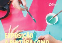 A Pintura como a Vejo