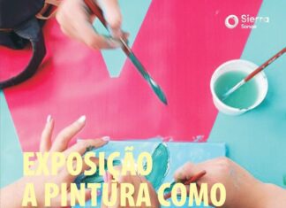 A Pintura como a Vejo