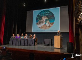 Apresentação do livro Asas da Maravilha