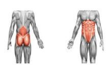 Click Saúde & Bem Estar | O Core e sua importância na prevenção de lesões