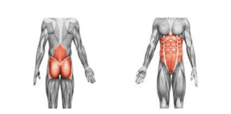 Click Saúde & Bem Estar | O Core e sua importância na prevenção de lesões