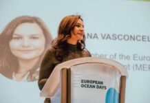 Eurodeputada dos Açores defende melhor gestão de fundos e segurança marítima face a possível ruptura com EUA