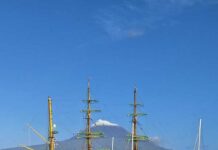 Marina da Horta | “Tall Ships” começam a chegar à Marina da Horta