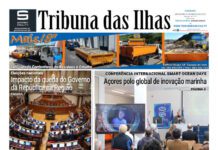 Capa | Edição n.º 1174, 21 de março de 2025