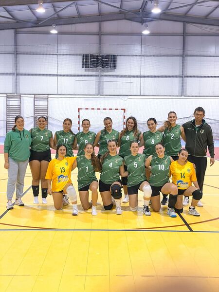 VOLEIBOL