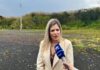 Parque de Invernagem do Porto da Horta