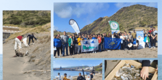 Semana Municipal do Desenvolvimento Sustentável | Recolhidos 40 kg de macrolixo e 1 kg de microplástico na Operação Praia Limpa