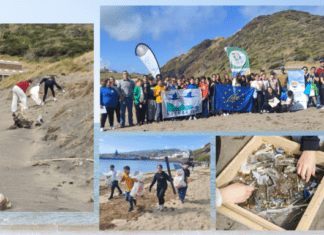 Semana Municipal do Desenvolvimento Sustentável | Recolhidos 40 kg de macrolixo e 1 kg de microplástico na Operação Praia Limpa