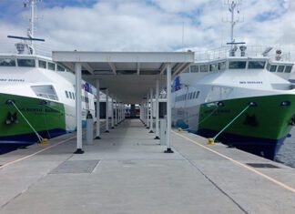 Privatizações | Empresa Barcos do Pico interessada na aquisição da Atlânticoline