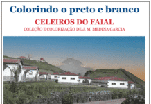 Colorindo o preto e branco | Celeiros do Faial