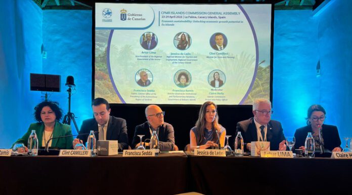 Artur Lima defende maior consideração europeia pela conectividade regional, e entre os Açores e a Europa