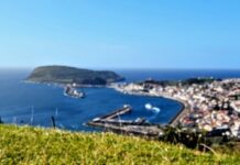 Estante | “Horta. Uma viagem à cidade-ilha dos museus”