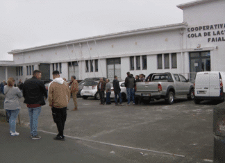Cooperativa Agrícola de Lacticínios do Faial | Comissão de gestão está agora encarregue de gerir a CALF