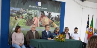 Feira Agrícola na Quinta de São Lourenço | Ana Malhoa e Helfimed são as principais atrações