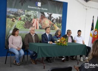 Feira Agrícola na Quinta de São Lourenço | Ana Malhoa e Helfimed são as principais atrações