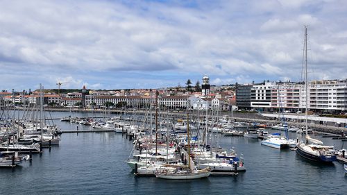 imageedit_13_3693160290