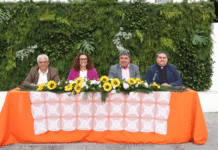Festas da Madalena