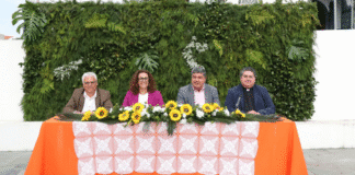 Festas da Madalena
