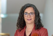 Professores contratados