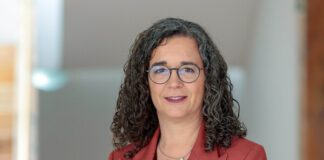 Professores contratados