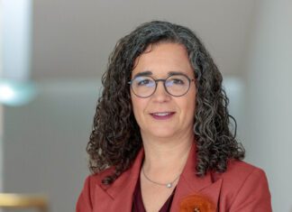 Professores contratados