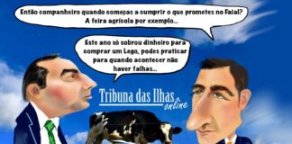 Cartoon semanal | 30 de maio de 2025