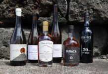 Vinhos do Pico Premiados No Maior Concurso Enológico do País