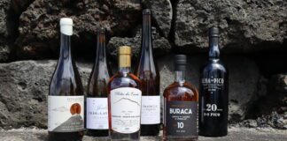 Vinhos do Pico Premiados No Maior Concurso Enológico do País