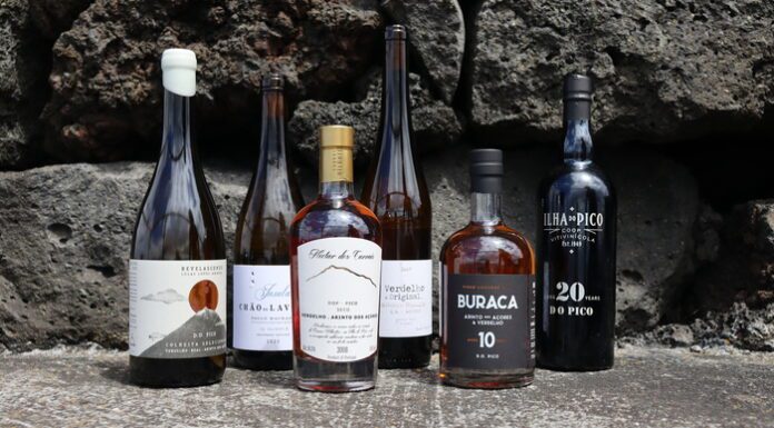 Vinhos do Pico Premiados No Maior Concurso Enológico do País