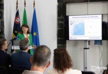 Orla costeira do Porto Pim | Apresentado estudo prévio da empreitada de proteção da baía