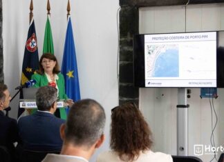 Orla costeira do Porto Pim | Apresentado estudo prévio da empreitada de proteção da baía