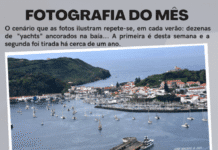 Fotografia do Mês