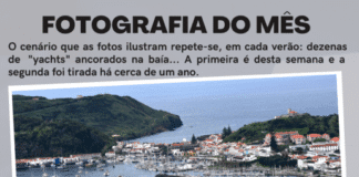 Fotografia do Mês