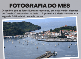 Fotografia do Mês