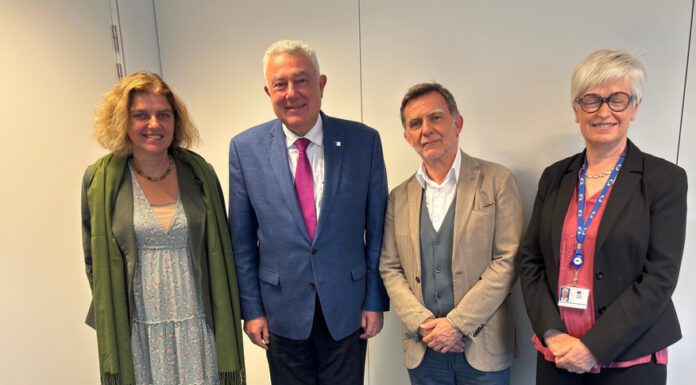Vice-Presidente do Governo defende interesses dos Açores junto da DG MOVE e DG REGIO