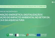 Pescas e aquicultura nos Açores