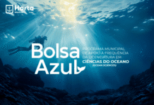 Licenciatura Ocean Sciences | Município aprova criação de Bolsa Azul