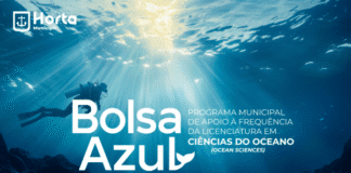 Licenciatura Ocean Sciences | Município aprova criação de Bolsa Azul