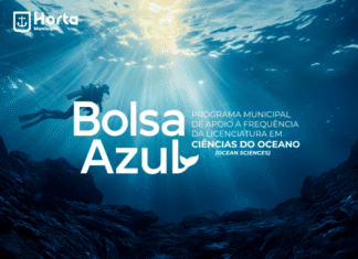 Licenciatura Ocean Sciences | Município aprova criação de Bolsa Azul