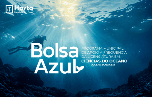 Licenciatura Ocean Sciences | Município aprova criação de Bolsa Azul