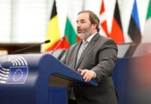 Paulo do Nascimento Cabral defende uma Europa para além das capitais e que valorize as áreas rurais