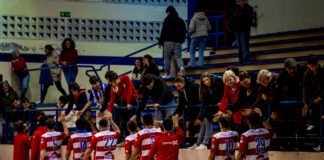 Sporting Club da Horta | Em cima da mesa está a criação de uma SAD