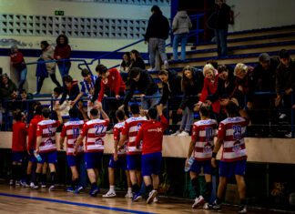 Sporting Club da Horta | Em cima da mesa está a criação de uma SAD