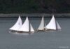 Regata de Vela de Nossa Senhora das Angústias 2025 | Bote Senhora da Guia triunfou