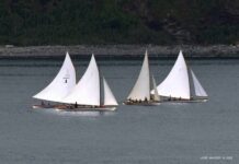 Regata de Vela de Nossa Senhora das Angústias 2025 | Bote Senhora da Guia triunfou
