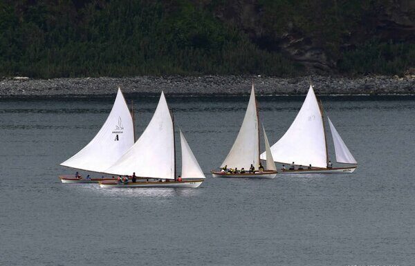Regata de Vela de Nossa Senhora das Angústias 2025 | Bote Senhora da Guia triunfou