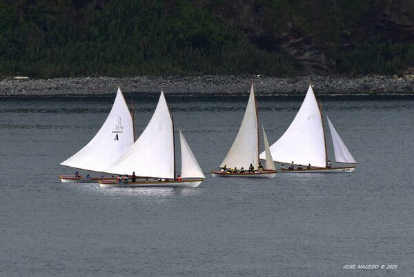botes