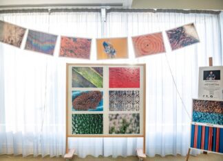 Exposição Fringe