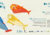 OMA – Observatório do Mar dos Açores associa-se às comemorações do Dia Mundial dos Oceanos