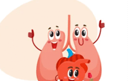 Click Saúde & Bem Estar | Reabilitação Cardíaca em Fisioterapia